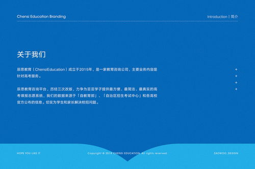 辰思教育企業(yè)VI設計與品牌策劃方案