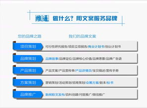 創業融資實務指南 從商業計劃書到項目落地